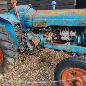 Fordson Major Tractor at Wimpole Estate 6x4 Photograph - Photo October 9th 2021