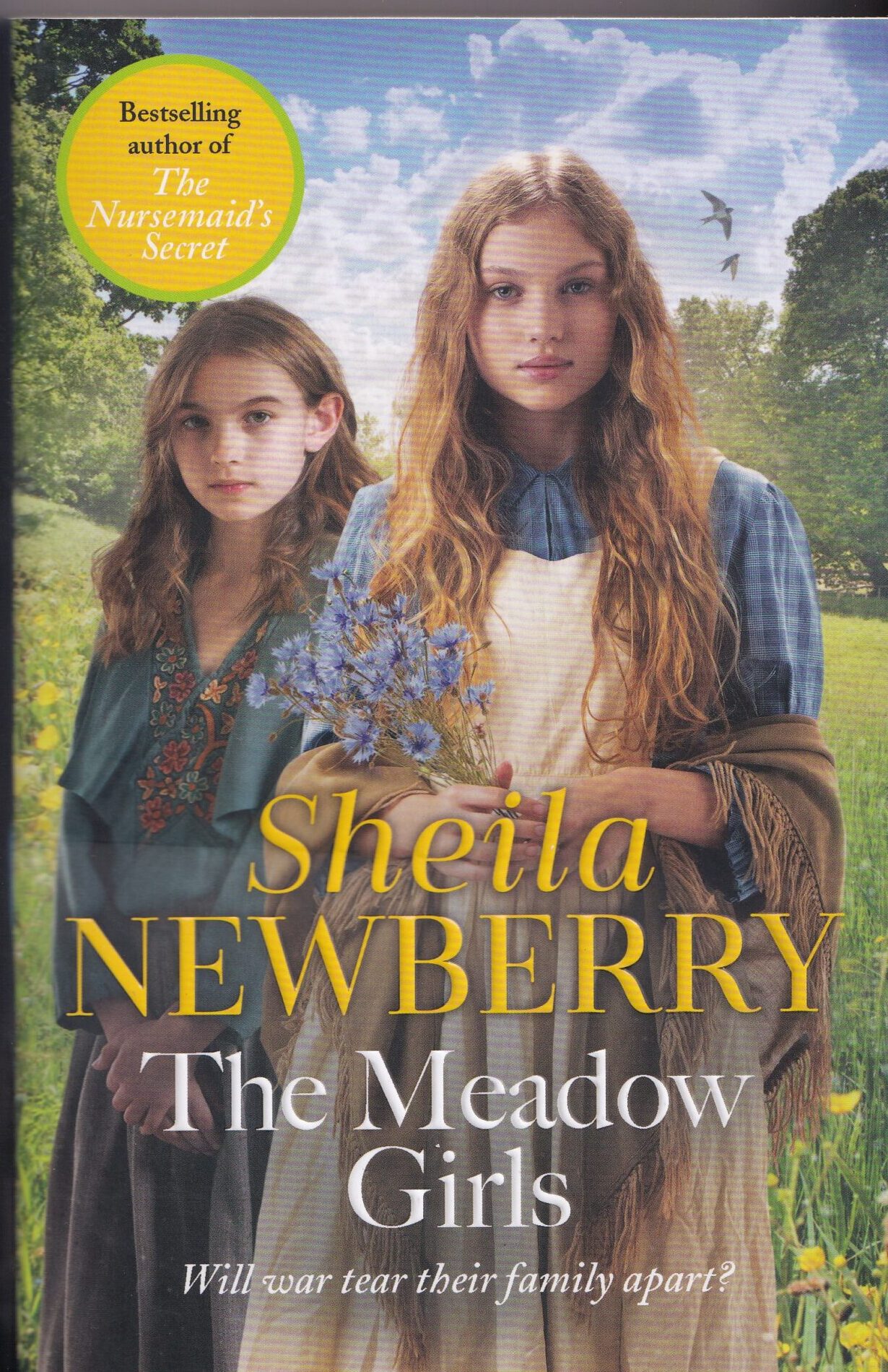 The Meadow Girls Paperback Book by Sheila Newberry