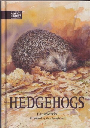 Hedgehogs Hardback Book by Pat Morris and Illustrated by Guy Troughton