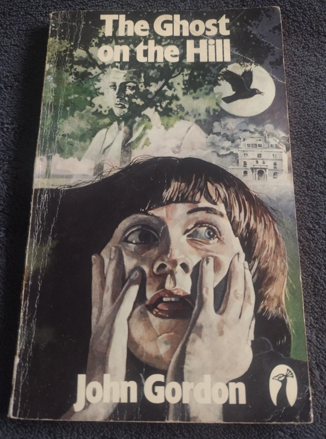 The Ghost on theHill: Paperback Book by John Gordon