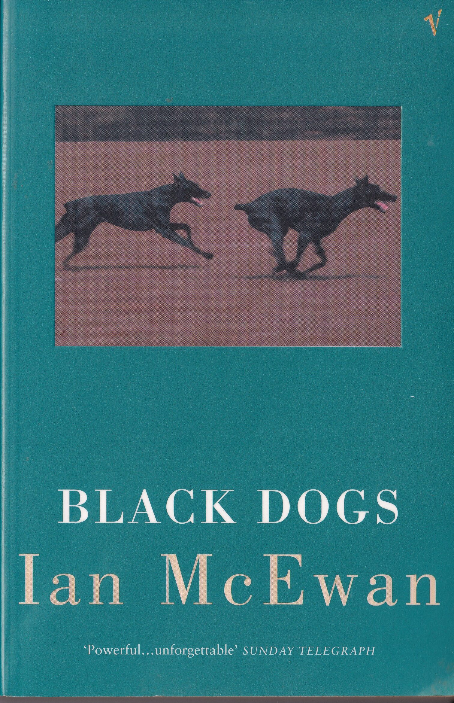 BLACK DOGS