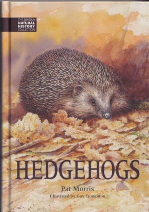 Hedgehogs: Hardback Book by Pat Morris and Illustrated by Guy Troughton
