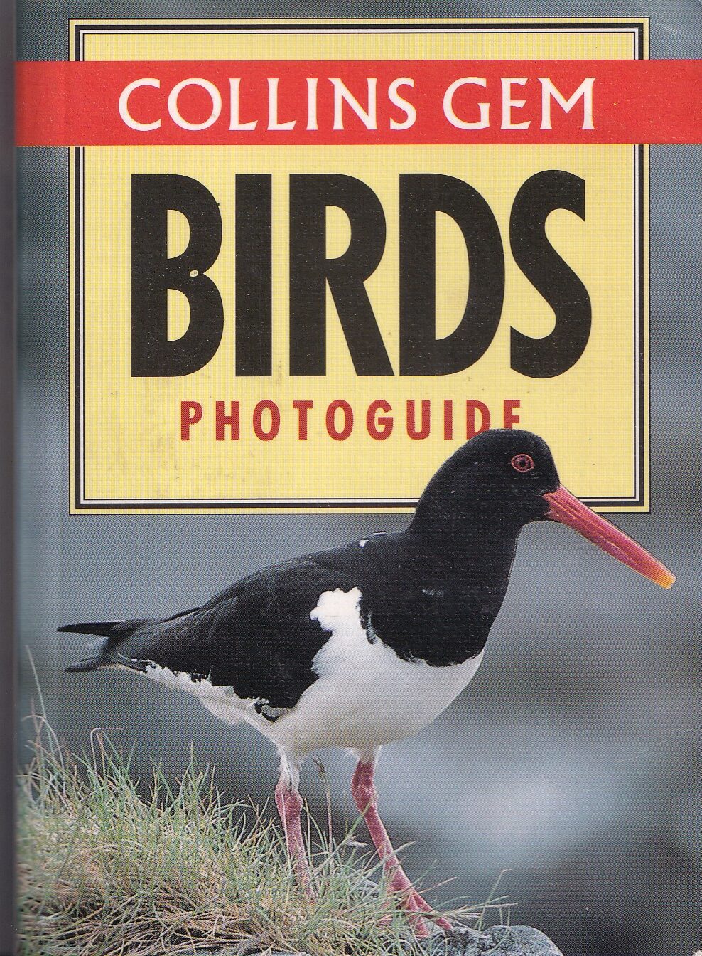 Collins Gem Photoguide Birds – HarperCollins (1994)