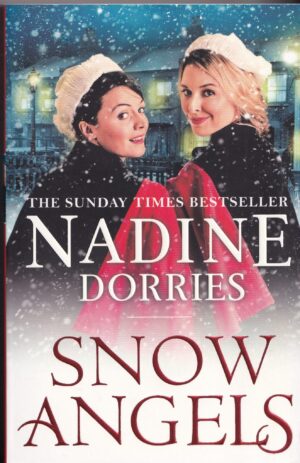Snow Angels by Nadine Dorries
