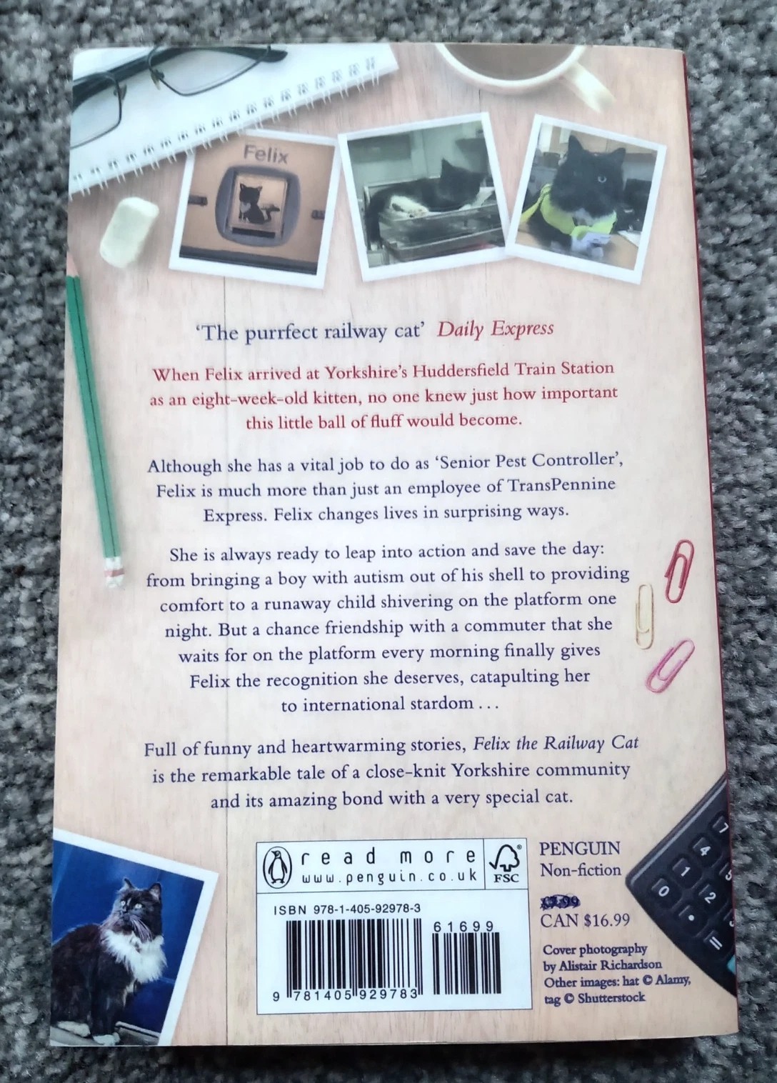 Felix the Railway Cat – Paperback Book by Kate Moore | 2017 - Image 2